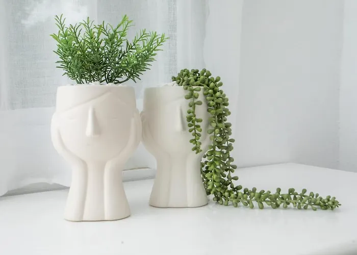 Salty Front House Holiday home